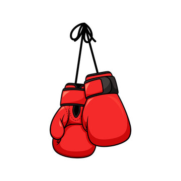 Passion for Boxing
